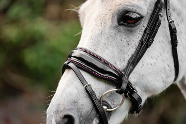 Horseware Ireland Pony Diamante Flash Bridle| Online For Equine