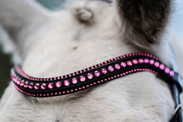 Horseware Ireland Pony Diamante Flash Bridle| Online For Equine