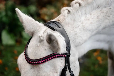 Horseware Ireland Pony Diamante Flash Bridle| Online For Equine