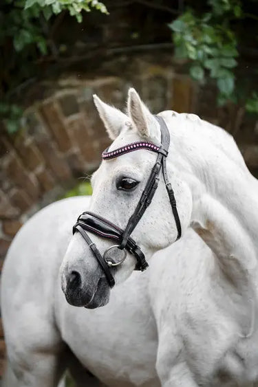 Horseware Ireland Pony Diamante Flash Bridle| Online For Equine
