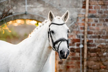 Horseware Ireland Pony  Flash Bridle| Online For Equine