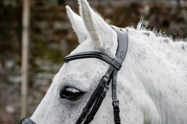 Horseware Ireland Pony  Flash Bridle| Online For Equine