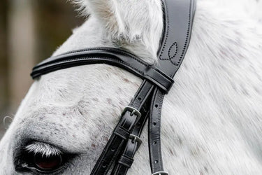 Horseware Ireland Pony  Flash Bridle| Online For Equine