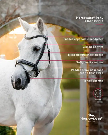 Horseware Ireland Pony  Flash Bridle| Online For Equine