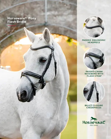 Horseware Ireland Pony  Flash Bridle| Online For Equine