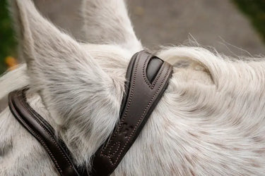 Horseware Ireland Pony  Flash Bridle| Online For Equine