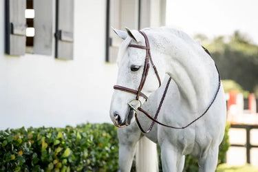 Horseware Ireland Pony Hunter Cavesson Bridle W/Reins| Online For Equine