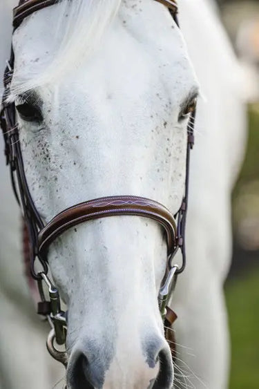 Horseware Ireland Pony Hunter Cavesson Bridle W/Reins| Online For Equine