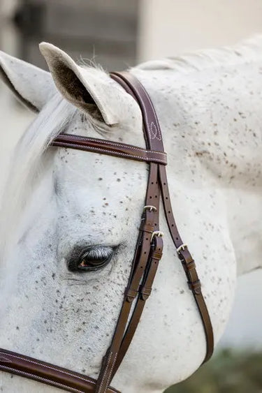 Horseware Ireland Pony Hunter Cavesson Bridle W/Reins| Online For Equine