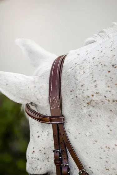 Horseware Ireland Pony Hunter Cavesson Bridle W/Reins| Online For Equine