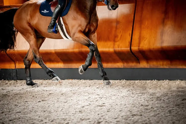 Horseware Ireland Pro Bamboo Fetlock Boots| Online For Equine