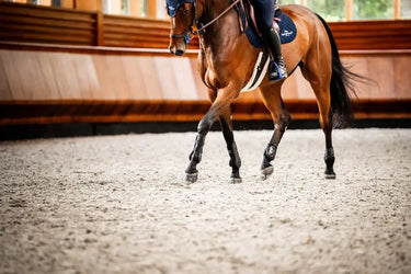 Horseware Ireland Pro Bamboo Tendon Boots| Online For Equine