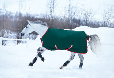 Horseware Ireland Rambo 1000D Turnout Rug 400G| Online For Equine