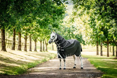 Horseware Ireland Rambo 1680D Plus Turnout Rug 0G Black / Thunderstorm Grey & Silver| Online For Equine