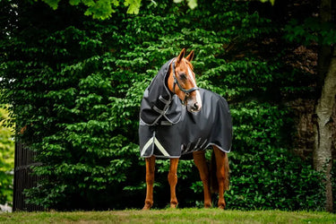 Horseware Ireland Rambo 1680D Plus Turnout Rug 0G Black / Thunderstorm Grey & Silver| Online For Equine