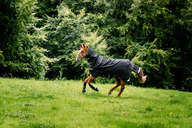 Horseware Ireland Rambo 1680D Plus Turnout Rug 0G Black / Thunderstorm Grey & Silver| Online For Equine