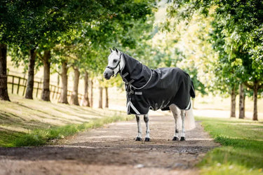 Horseware Ireland Rambo 1680D Plus Turnout Rug 0G Black / Thunderstorm Grey & Silver| Online For Equine