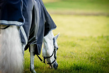 Horseware Ireland Rambo 1680D Plus Turnout Rug 0G Navy / Thunderstorm Grey & Silver| Online For Equine