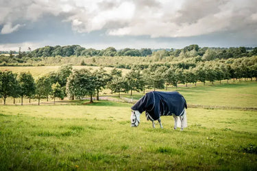 Horseware Ireland Rambo 1680D Plus Turnout Rug 50G| Online For Equine