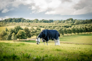 Horseware Ireland Rambo 1680D Plus Turnout Rug 50G| Online For Equine