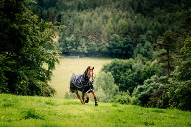 Horseware Ireland Rambo 1680D Plus Turnout Rug 50G| Online For Equine