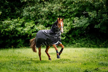 Horseware Ireland Rambo 1680D Plus Turnout Rug 50G| Online For Equine