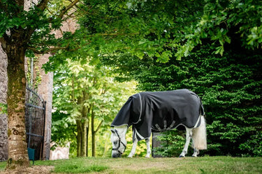 Horseware Ireland Rambo 1680D Plus Turnout Rug 50G| Online For Equine