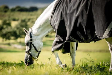 Horseware Ireland Rambo 1680D Turnout Rug 100G Black / Thunderstorm Grey & Silver| Online For Equine