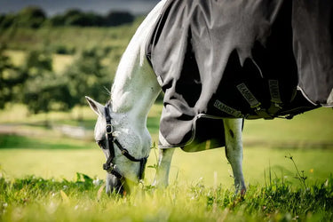 Horseware Ireland Rambo 1680D Turnout Rug 100G Black / Thunderstorm Grey & Silver| Online For Equine
