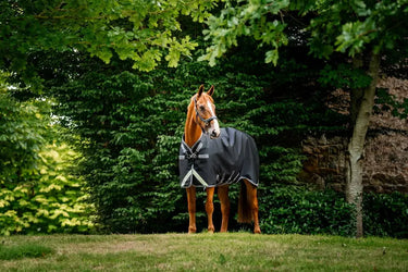 Horseware Ireland Rambo 1680D Turnout Rug 50G Black / Thunderstorm Grey & Silver| Online For Equine