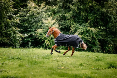 Horseware Ireland Rambo 1680D Turnout Rug 50G Black / Thunderstorm Grey & Silver| Online For Equine