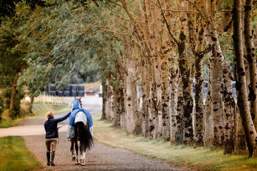 Horseware Ireland Rambo Autumn Series| Online For Equine