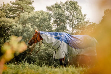 Horseware Ireland Rambo Autumn Series| Online For Equine
