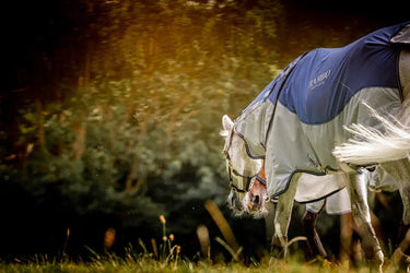 Horseware Ireland Rambo Autumn Series| Online For Equine