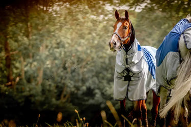 Horseware Ireland Rambo Autumn Series| Online For Equine