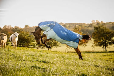 Horseware Ireland Rambo Autumn Series| Online For Equine