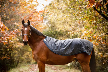 Horseware Ireland Rambo Autumn Series| Online For Equine