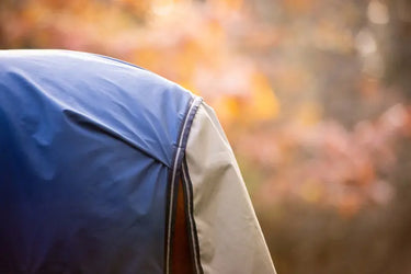 Horseware Ireland Rambo Autumn Series| Online For Equine