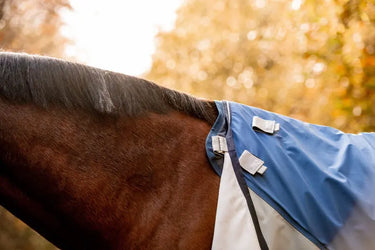 Horseware Ireland Rambo Autumn Series| Online For Equine