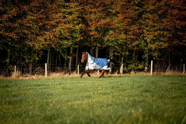 Horseware Ireland Rambo Autumn Series| Online For Equine