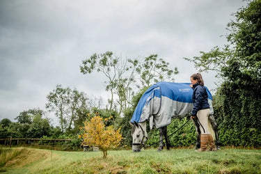 Horseware Ireland Rambo Autumn Series| Online For Equine