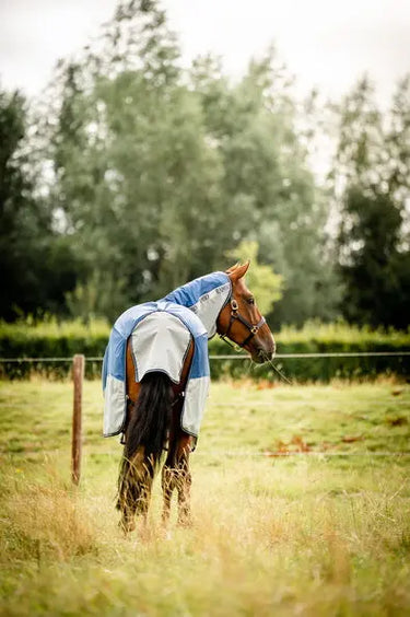 Horseware Ireland Rambo Autumn Series| Online For Equine