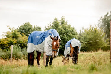 Horseware Ireland Rambo Autumn Series| Online For Equine