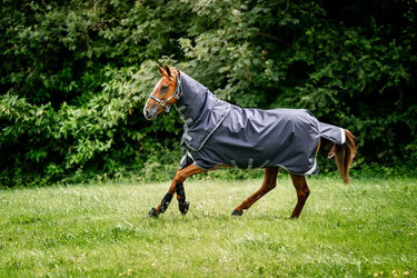 Horseware Ireland Rambo Duo Ripstop Plus Turnout Rug Bundle (100G + 100G + 200G)| Online For Equine