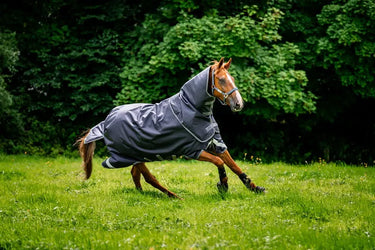 Horseware Ireland Rambo Duo Ripstop Plus Turnout Rug Bundle (100G + 100G + 200G)| Online For Equine
