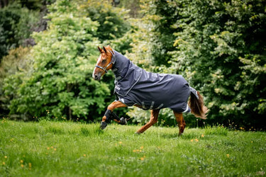 Horseware Ireland Rambo Duo Ripstop Plus Turnout Rug Bundle (100G + 100G + 200G)| Online For Equine