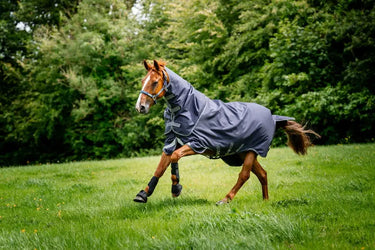 Horseware Ireland Rambo Duo Ripstop Plus Turnout Rug Bundle (100G + 100G + 200G)| Online For Equine