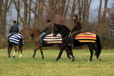 Buy Horseware Ireland Rambo Fleece Competition Sheet| Online for Equine