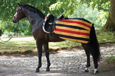 Buy Horseware Ireland Rambo Fleece Competition Sheet| Online for Equine
