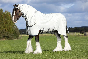 Buy Horseware Ireland Rambo Hoody XL Fly Rug (with free fly mask)| Online for Equine